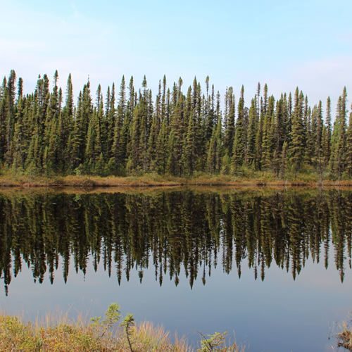 Gouverbance IRN forêts froides