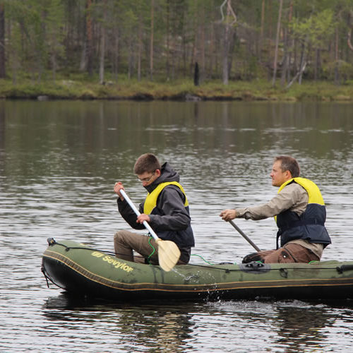 renouvellement Forêts Froides