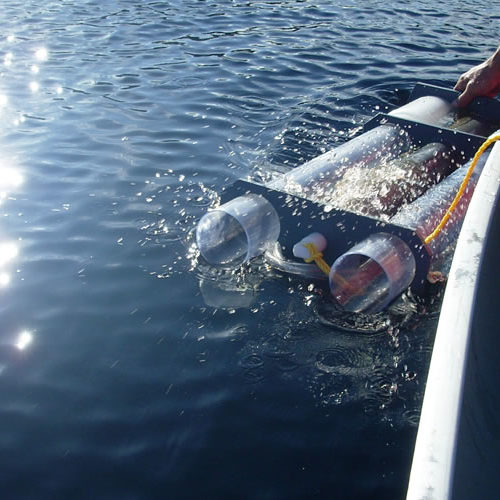 publications 2015 IRN Forêts froides