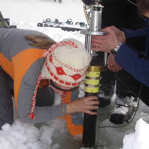 Bilan carbone des forets boréales