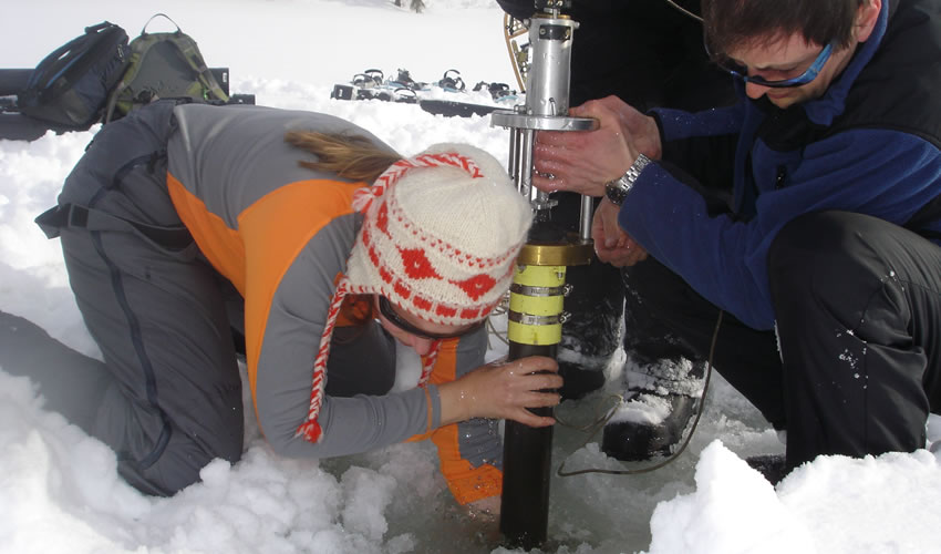 Bilan carbone des forets boréales
