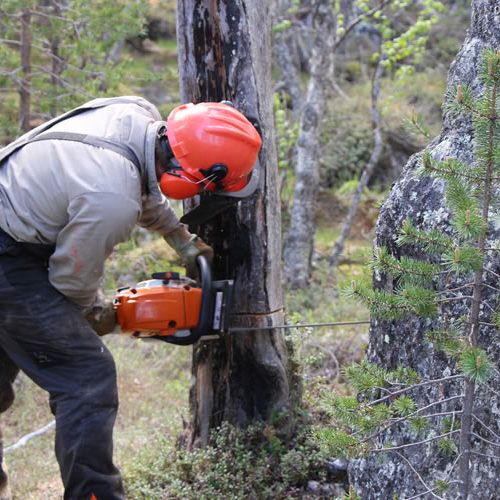 intéractions environnement société