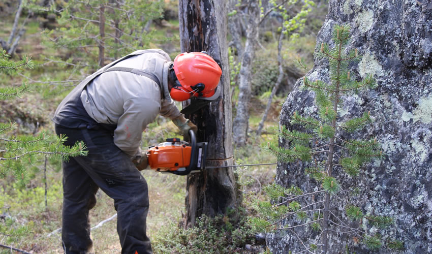 intéractions environnement société