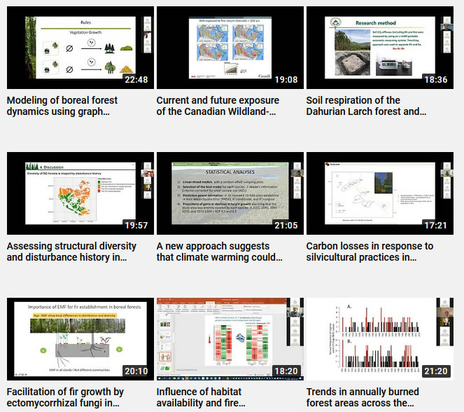 chaîne vidéos Forêts Froides