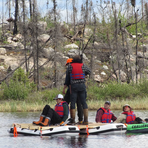 publications 2021 cold forests