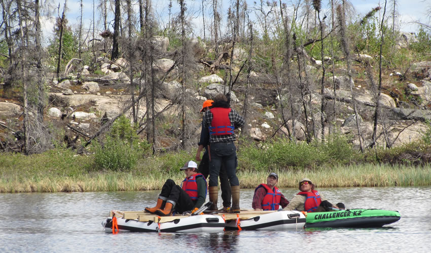 publications 2021 cold forests