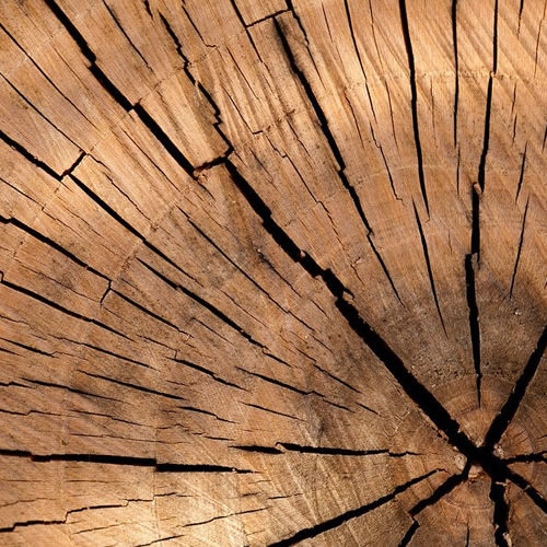 Pluribois formation bois