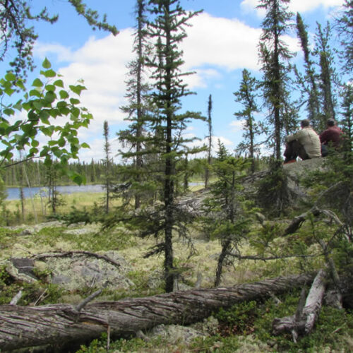 NWT-2018 Gaboriau-Dorian