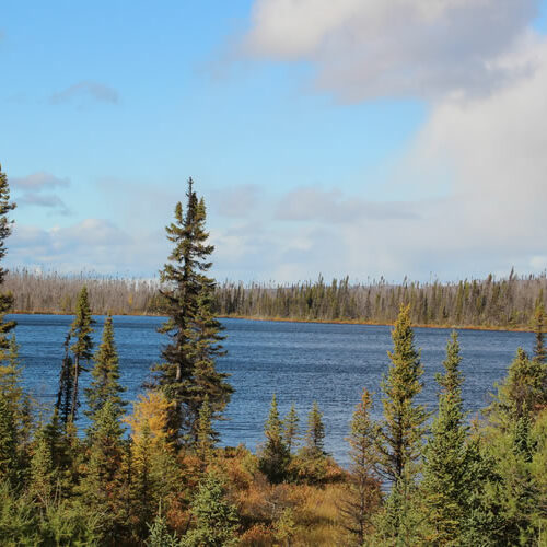 congres forêts froides 2021