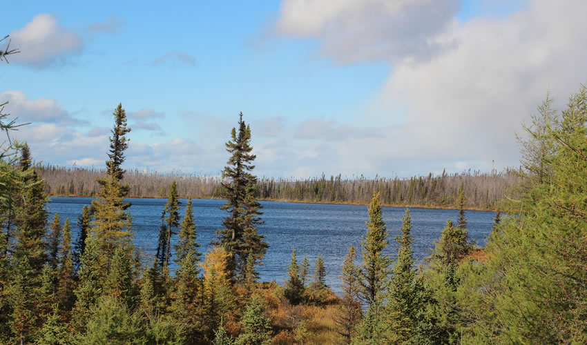 congres forêts froides 2021