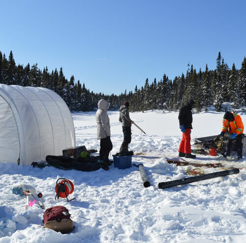 Lac Castor Marion Blache