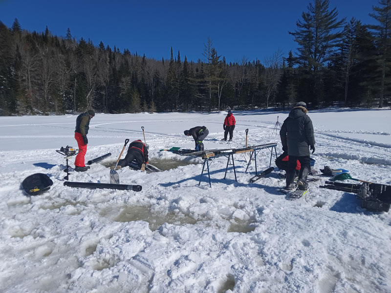 Parc naturel de Mauricie