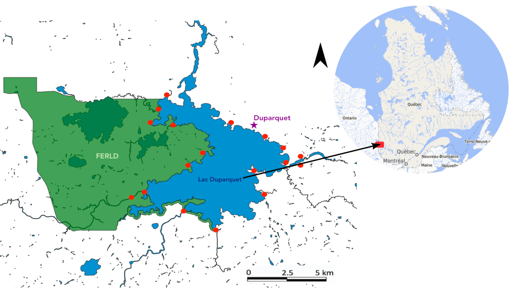 Forêt d’Enseignement et de Recherche 