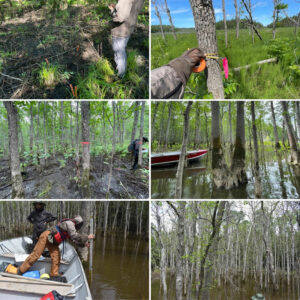 photographies de frenaies