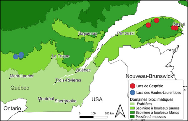 lacs de Gaspesie et Hautes Laurentides