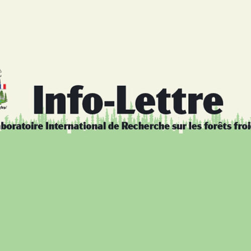 info-lettre forêts froides