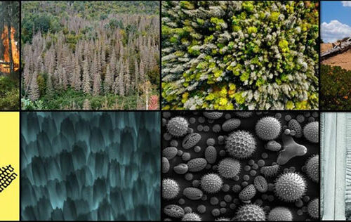 Frontiers in Ecology and Evolution