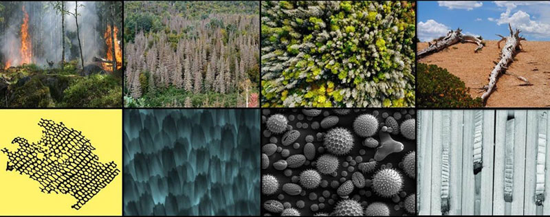 Frontiers in Ecology and Evolution