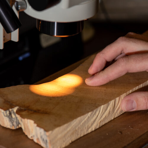 University of Arizona Tree Ring Lab, Tucson
