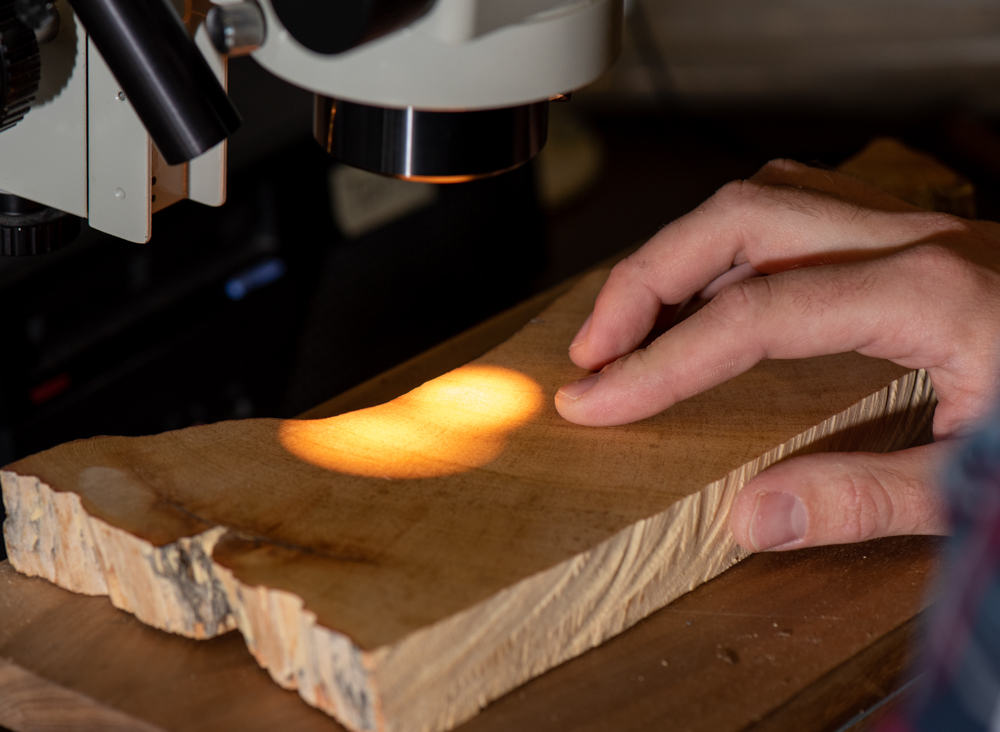 University of Arizona Tree Ring Lab, Tucson