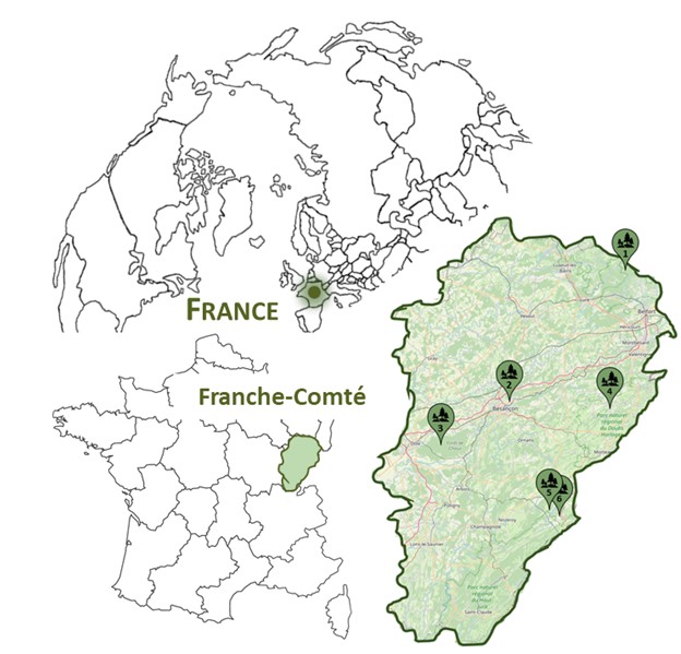 massifs d’observations de l’Observatoire des Forêts Comtoises