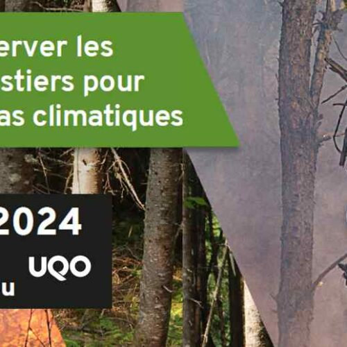 Colloque forêts CEF 2024