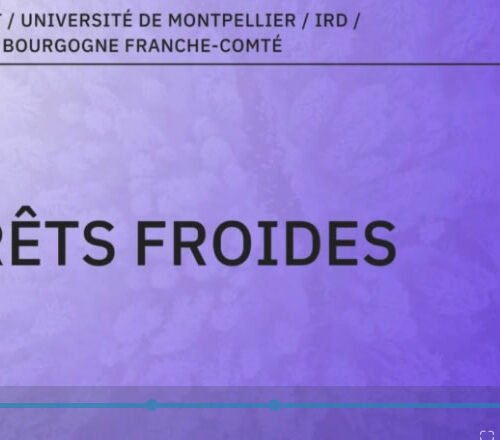 vidéo forêts froides canal-u