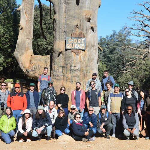 laboratoire forêts froides au Maroc
